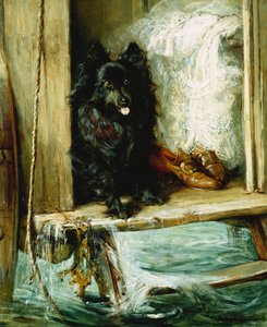 In Obhut gelassen - Ein schwarzer Pomeranian auf den Stufen einer Badeanstalt