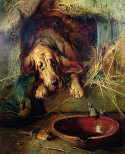 Wenn die Katze weg ist, tanzen die Mäuse