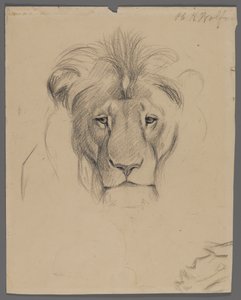 Kopf eines Löwen von Philip H. Wolfrom