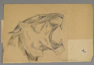 Kopf eines brüllenden Löwen von Philip H. Wolfrom