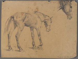 Pferd und Pferdekopf von Philip H. Wolfrom