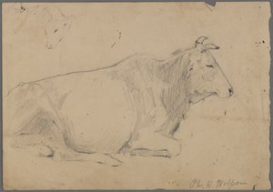 Sitzender Stier von Philip H. Wolfrom