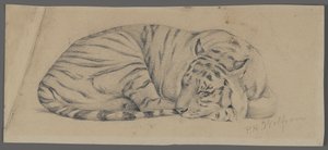 Schlafender Tiger von Philip H. Wolfrom