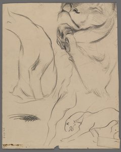 Studien eines Löwen von Philip H. Wolfrom