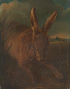 Hasenjagd