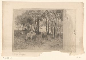 Schafherde und Hirte auf einer Wiese mit Bäumen von Philip Zilcken (signed by artist)
