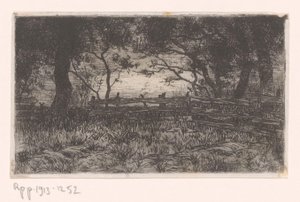 Weide mit Zaun und Bäumen von Philip Zilcken