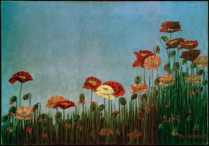 Mohnblumen