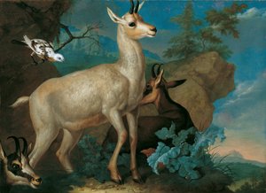 Drei Gemsen und eine Amsel von Philipp Ferdinand de Hamilton