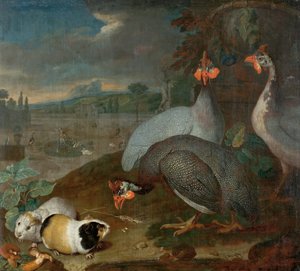 Perlhühner mit Meerschweinchen von Philipp Ferdinand de Hamilton
