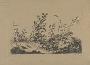 Landschaftsstudie mit Disteln und Fröschen von Philippe Cardon
