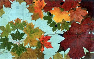 Herbstblätter, von Philippe Robert, Ausgaben Robert Ried