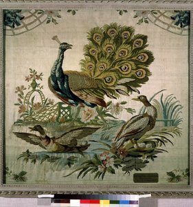 Der Pfau