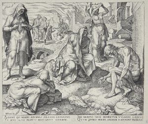 Hiob auf dem Misthaufen von Philips Galle