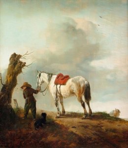 Der Schimmel
