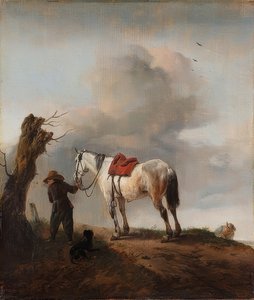 Der Schimmel