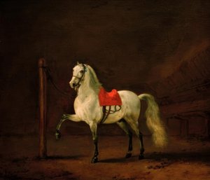 Ein Schimmel im Stall von Philips Wouwerman