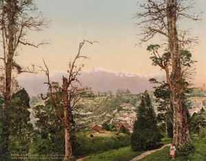 Darjeeling. Kinchinjunga und die Schneefelder von Beechwood Park