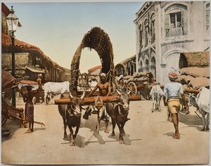 Indien. Ceylon. Colombo. Straßenszene, nach einem Foto von Dr. Kurt Boeck