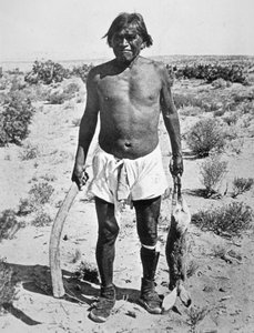 Hopi-Jäger von Photographer American