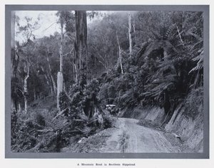Eine Bergstraße in Süd-Gippsland von Photographer Australian