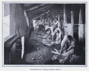 Handschur in einer Woolshed in Riverina, Merribee (s/w Foto) von Photographer Australian