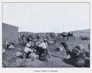 Beladen von Kamelen für Nullagine von Photographer Australian