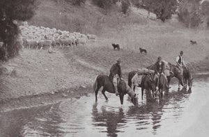 Die Rast, typische australische Viehhirten von Photographer Australian