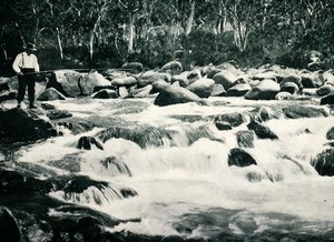 Forellen-Stromschnellen im Snowy River, Jindabyne, New South Wales, ca. 1900, aus 