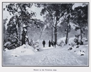 Winter in den Viktorianischen Alpen von Photographer Australian