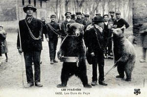 Bärenshows in den Pyrenäen, ca. 1900
