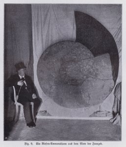 Fossil eines riesigen Ammoniten, Meeresbewohner der Jurazeit von Photographer German