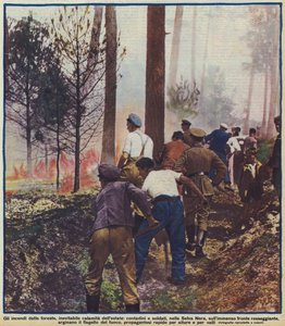 Bauern und Soldaten bekämpfen einen Waldbrand im Schwarzwald, Deutschland von Photographer German
