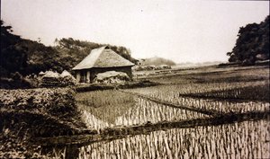 Reisfelder in Japan von Photographer Japanese