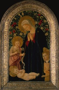Die Madonna, die das Kind anbetet, mit dem kleinen Johannes dem Täufer, Engel und Rosenhecke im Hintergrund von Pier Francesco Fiorentino