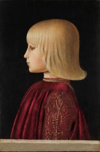 Porträt eines Jungen Guidobaldo Da Montefeltro, ca. 1479 von Piero della Francesca