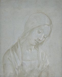 Büste einer jungen Frau von Piero di Cosimo.