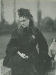 Die Hunde von Pierre-Louis Pierson
