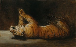 Spielender Tiger