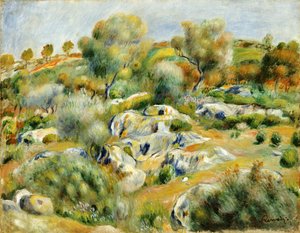 Bretagne Landschaft mit Bäumen und Felsen