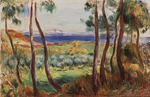 Pins in der Umgebung von Cagnes von Pierre Auguste Renoir