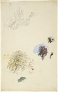 Studien von Bäumen und Laub von Pierre Auguste Renoir
