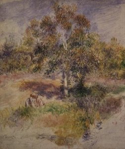 Studie eines Baumes von Pierre Auguste Renoir