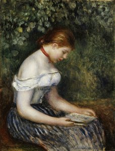 Der Leser