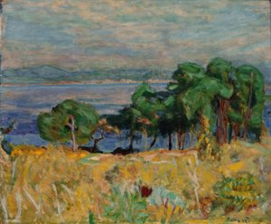 Die Bucht von Saint-Tropez von Pierre Bonnard