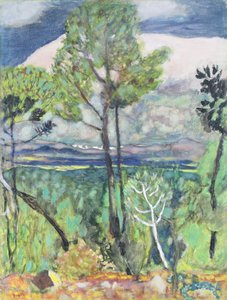 Landschaft von Pierre Bonnard