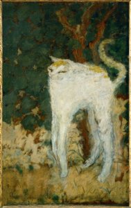 Die weiße Katze