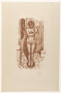 Stehende nackte Frau wäscht sich von Pierre Bonnard