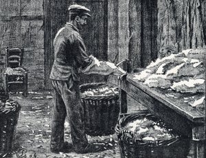 Leder: Spalten von Kaninchenfellen zur Lederherstellung, Gravur aus "Excursion à travers les métiers" von Pierre Calmette, Privatsammlung von Pierre Calmettes