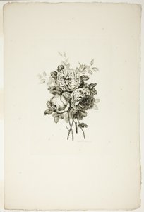 Blumenstrauß mit Rosen, aus Sammlung verschiedener Blumensträuße, erfunden und gezeichnet von Jean Pillement und graviert von P. C. Canot